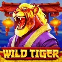 Casino PINASWIN88